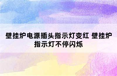 壁挂炉电源插头指示灯变红 壁挂炉指示灯不停闪烁